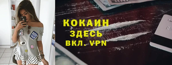 PSILOCYBIN Аркадак