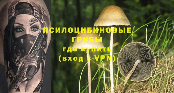 молекула духа Армянск