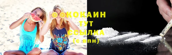 PSILOCYBIN Аркадак