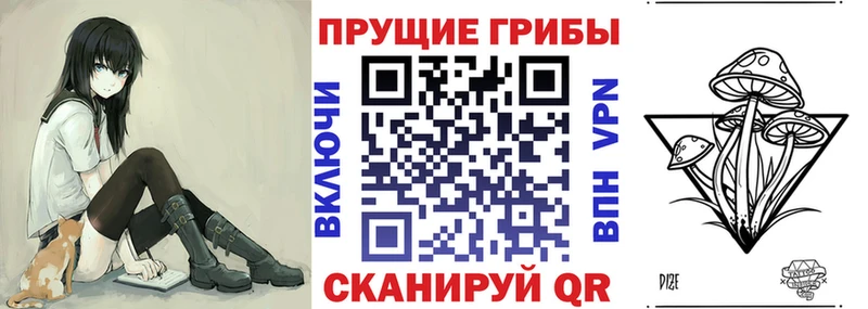 как найти закладки  Курчатов  Псилоцибиновые грибы прущие грибы 